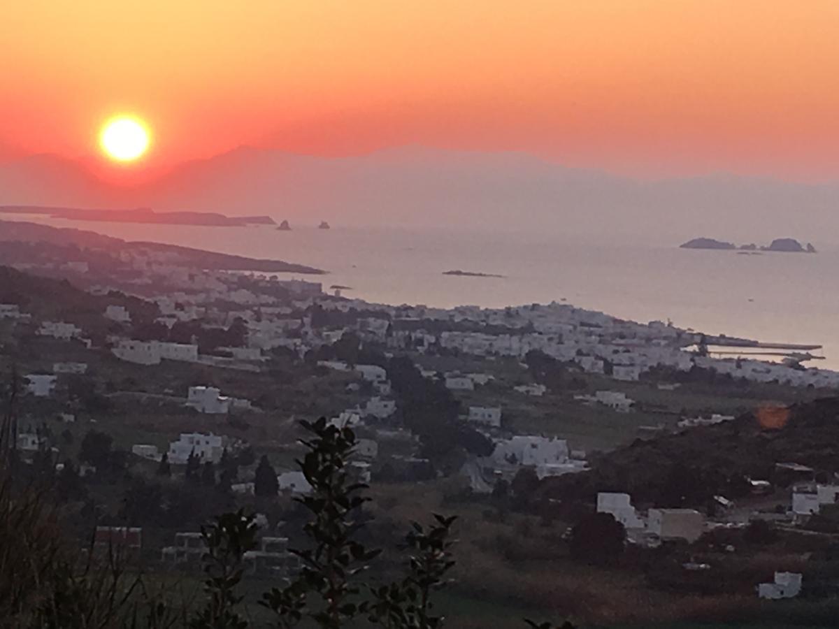 Paros Villas Nereids Eksteriør billede
